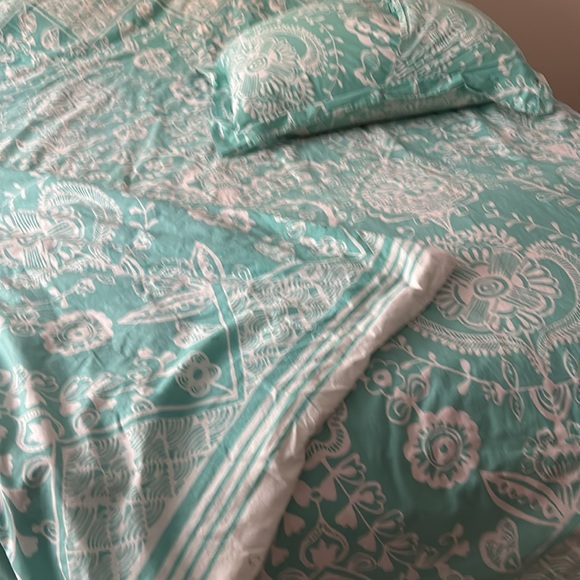 Pottery Barn full size duvet, cover and matching sham - Picture 6 of 6